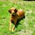 Gabriel John Thayer's profile image