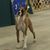 Debra Henkle's profile image
