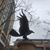 Lynda Beth Unkeless's profile image