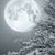 Cindy Cibes Eades's profile image