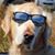 Robin Junkin's profile image