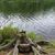 Thomas Steffen's profile image