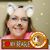 Ashlee Diane Holub's profile image
