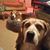 Shelby Guill's profile image