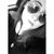 Maria Cecilia Cruz's profile image