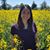 Patricia Nguyen's profile image