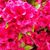 Christina Beveridge Fair's profile image