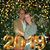 Floria Eve Clements's profile image