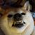 Chris Rubin's profile image