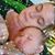 Vicki Lynn Penner's profile image