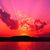 Vikki Maupin Cullum's profile image