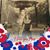 Callie Boren Wakefield Melton's profile image