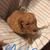 Tina Fletcher Mitchell's profile image