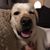 Susan Solmes's profile image