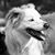 Michael Hunter's profile image