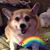 Tina Allsbrook Dry's profile image