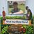 Patricia Smith Weissman's profile image