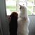 Lori DeVilder Tafta's profile image