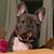 Mary Willis Ferguson's profile image