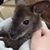 Jackie Wood's profile image