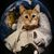 Jason Walters's profile image