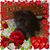 Anita Lutz Jenkins's profile image