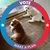 Sharon Meachum's profile image