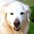Janet Owens-Grillo's profile image