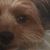 Suzanne Walker Kitten's profile image
