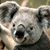 Linda Strader's profile image