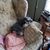 Heather Lynn Jenkins's profile image
