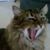 Linda Cabourne's profile image