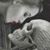 Adrian Novela's profile image