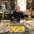 Helen York-Hart's profile image