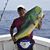 Jose Ricardo Esclusa's profile image