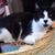 Lorin McCormick's profile image
