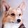 Pearl H.'s profile image