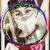 Rachel Lorene Haro's profile image