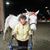 Karen Leemann's profile image