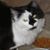 Pamela Headley's profile image