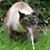 Jaccie Blake Fulton's profile image