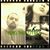 Eddie Ortiz Crazyhorze's profile image