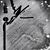 Shonna Chae's profile image