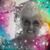 Mollie-Jo Morris's profile image