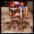 Mindy N Shane Terry's profile image