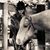 Karlee Curtis's profile image