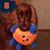 Sandy Mietz Allen's profile image