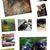 Tracy Culp's profile image