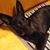 Christine Zwierzelewski's profile image