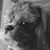Kathy DeJesus's profile image